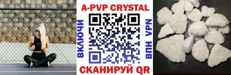 купить  сайты  Невельск  A PVP крисы CK 