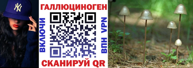 Галлюциногенные грибы прущие грибы  Невельск 